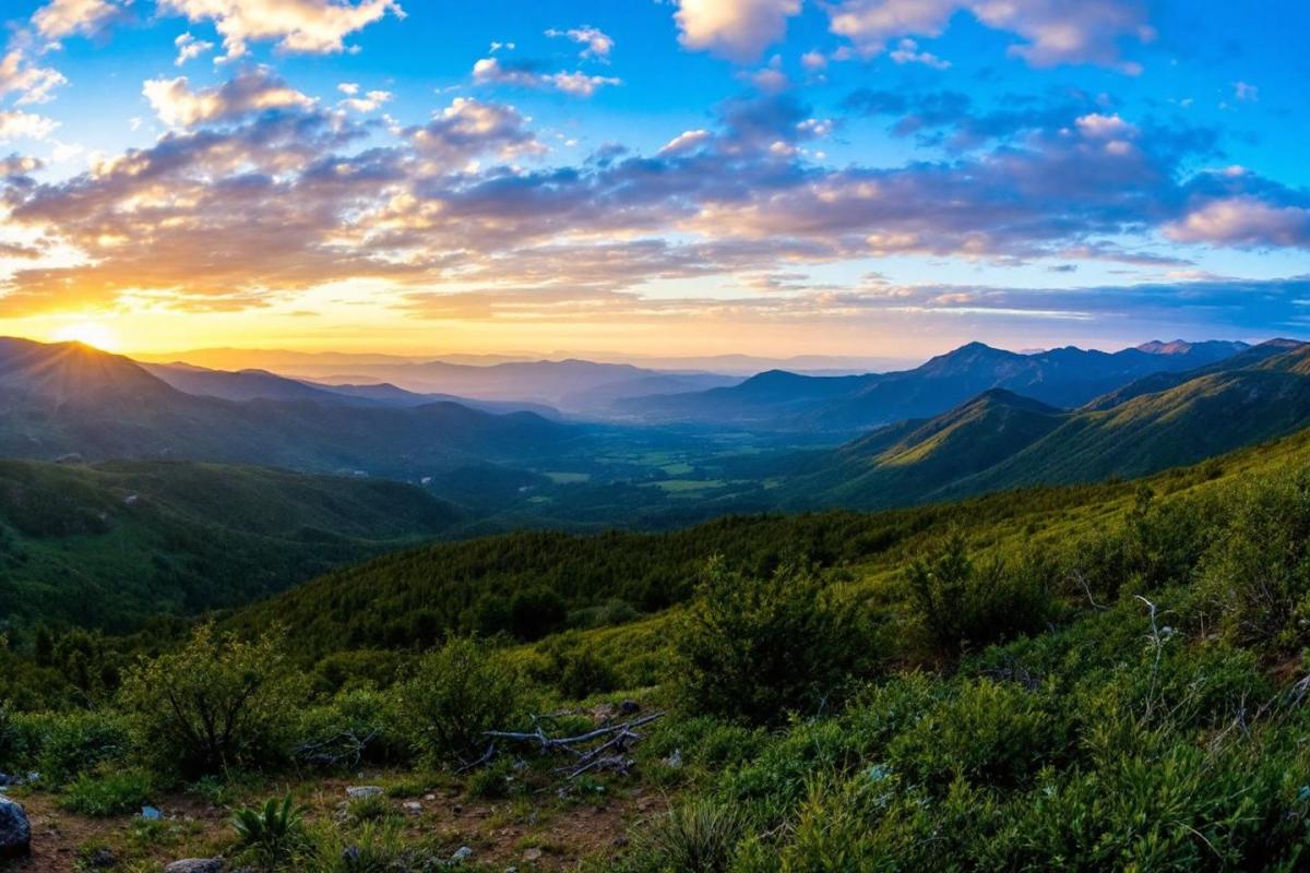 Exposition gratuite de Sebastião Salgado à l'Hôtel de Ville de Paris