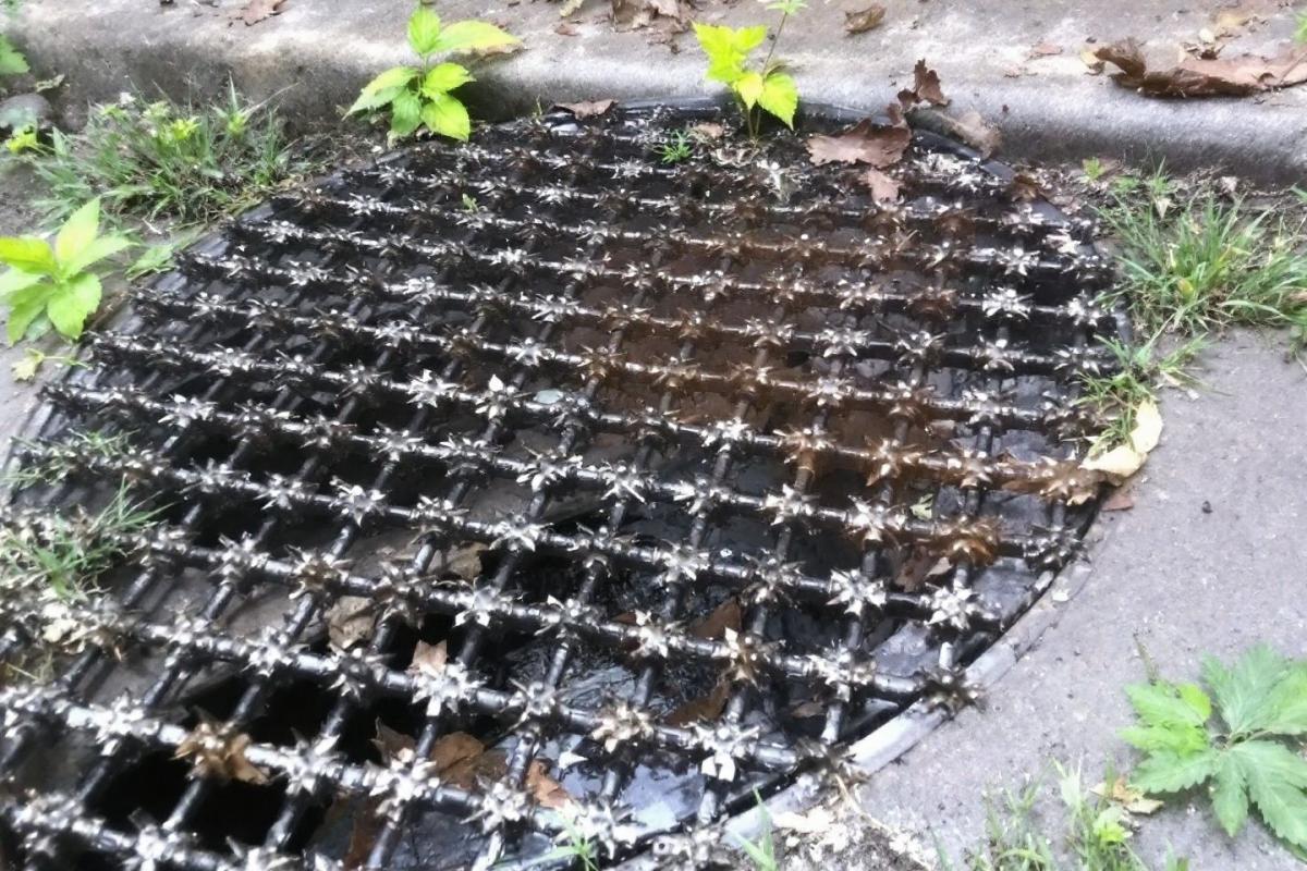 Paris dit stop aux 2 milliards de mégots jetés dans les rues : un plan d'action contre la pollution urbaine