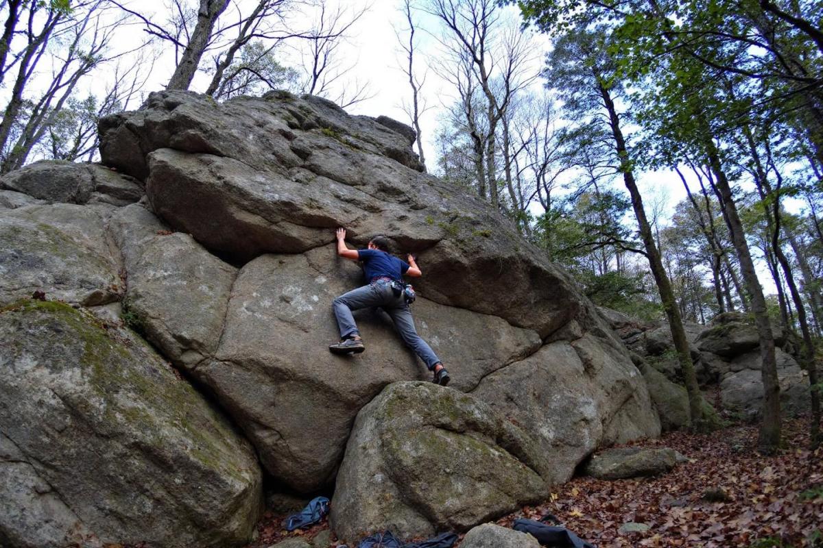 Visitez Fontainebleau : joyau royal, patrimoine, forêts et marchés à proximité de Paris sans la foule